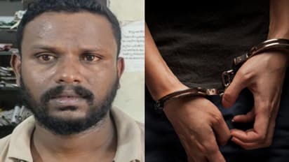 മദ്യപിച്ച് ഉത്സവത്തിനെത്തി ബഹളം, തടഞ്ഞ പൊലീസിനെ അസഭ്യം പറഞ്ഞു, ആക്രമിച്ചു; യുവാവ് പിടിയില്‍