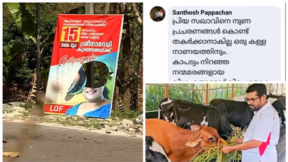 'പരാതി നൽകിയാല് തലപോകും'; സിപിഐ ജില്ലാ സെക്രട്ടറിക്കെതിരെ പരാതി നൽകിയ വനിതാ നേതാവിന്റെ ഫ്ലക്സുകൾ നശിപ്പിച്ചു