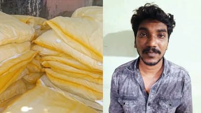 കൊല്ലത്ത് സവാള ചാക്കിനടയില്‍ ഒളിപ്പിച്ച നിലയില്‍ ഒന്നേകാല്‍ ലക്ഷം പാക്കറ്റ് പാന്‍മസാല; ഒരാള്‍ അറസ്റ്റില്‍