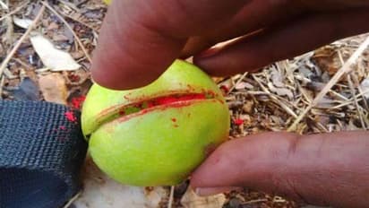 Astrology: रास्ते में पड़ी दिखें ये चीजें तो हो जाएं सावधान, गलती से भी इन्हें टच न करें, जानें वजह