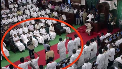 தமிழக சட்டப்பேரவை கூட்டம்..! ஆளுநருக்கு எதிராக கோஷம்..!  அதிர்ச்சி அளித்த திமுக கூட்டணி கட்சிகள்