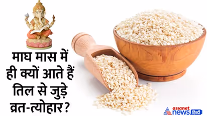 Til Chaturthi 2023: पूजा में तिल का उपयोग क्यों करते हैं, क्या आप जानते हैं तिल से जुड़ी ये बातें?
