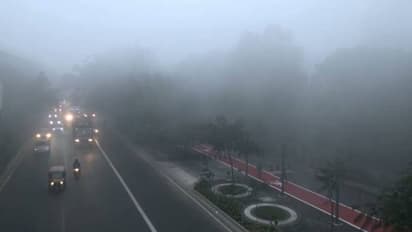 Fog envelops Delhi as temperature drops to 10.8 degrees Celsius; 235 night shelters set up across city