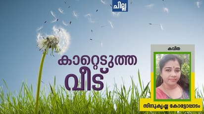 Malayalam Poems: കാറ്റെടുത്ത വീട്, സിന്ദുകൃഷ്ണ കോട്ടോപ്പാടം എഴുതിയ രണ്ട് കവിതകള്