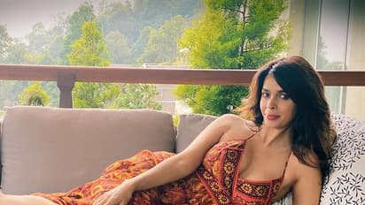 ಮಲ್ಲಿಕಾ ಶೆರಾವತ್ ಜೊತೆ ಆಟ: ಶಾರುಖ್ ಖಾನ್ ಅಶ್ಲೀಲ ಹೇಳಿಕೆಗೆ ಭಾರಿ ಟ್ರೋಲ್