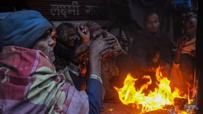 చలితో వణుకుతున్న రాజస్థాన్‌.. ఫతేపూర్‌లో - 4.7, చురులో -2.7 డిగ్రీల ఉష్ణోగ్రత నమోదు.. 