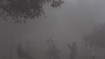 Cold wave alert in Delhi-NCR! Temperature likely to touch 0 degrees Celsius; Here's what we know