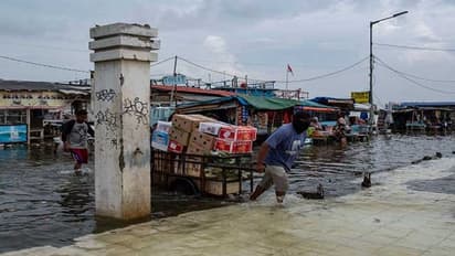 आने वाले कुछ सालों में गायब जाएगा 1 करोड़ की आबादी वाला ये शहर, हर वक्त इतनी जमीन धंस रही अंदर