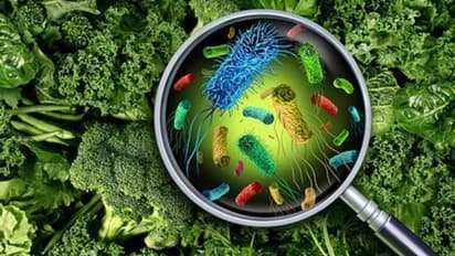 കണ്ണൂരിൽ വിവാഹ വീട്ടിൽ നിന്ന് ഭക്ഷണം കഴിച്ചവർക്ക് ഭക്ഷ്യവിഷബാധ, 20 പേർ ചികിത്സ തേടി