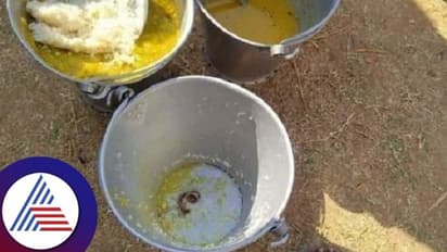 ಬಿಸಿಯೂಟದಲ್ಲಿ ಹಾವು: 30 ಮಕ್ಕಳು ಅಸ್ವಸ್ಥ, ಆಸ್ಪತ್ರೆಗೆ ದಾಖಲು; ಪೋಷಕರಿಂದ ತೀವ್ರ ಆಕ್ರೋಶ