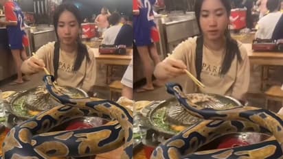 ಹಾವಿನೊಂದಿಗೆ ಸಹೋದರಿಯರ ಸರಸ: ಟೇಬಲ್ ಮೇಲಿರಿಸಿಕೊಂಡು ಊಟ