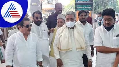 Assembly election: ಕೋಲಾರ ಬಳಿಕ ಚಾಮರಾಜಪೇಟೆಯಲ್ಲಿ ಸಿದ್ದು ಮಿಂಚಿನ ಸಂಚಾರ