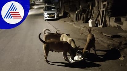 30க்கும் மேற்பட்ட ஆடுகளை கடித்து கொன்ற வெறிநாய்கள்; விவசாயிகள் வேதனை