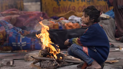 Over 20 trains, several flights delayed as cold wave grips North India; check details