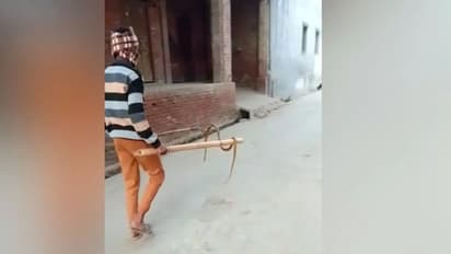 सांप का हुआ पोस्टमार्टम, रिपोर्ट में चौंकाने वाला खुलासा