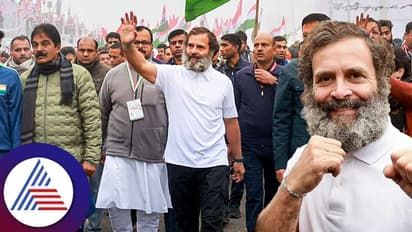 Rahul Gandhi Yatra: ராகுல் காந்தி பாரத் ஜோடோ பயணத்தில் அத்துமீறல்! பாதுகாப்பு வளையத்தை மீறி இளைஞர் பாய்ந்தார்