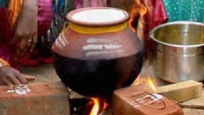   இந்த பொங்கலுக்கு பாரம்பரிய முறையில் வரகரிசி சர்க்கரை பொங்கல் செய்து மகிழலாம் வாங்க!