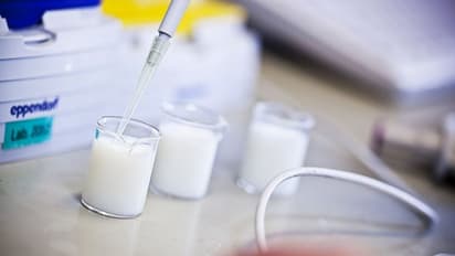 'ശ്രദ്ധ വേണം': കേരളത്തിലെത്തുന്ന പാലില്‍ വ്യാപകമായി മായം...