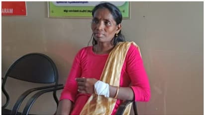 പനമരത്ത് യുവതിയെ ആക്രമിച്ചത് മുതലയോ ചീങ്കണ്ണിയോ എന്ന് ഉറപ്പിക്കാനാകാതെ വനംവകുപ്പ്