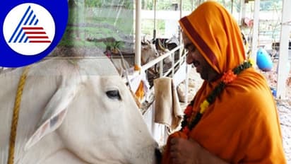 GouSwarga: ಇಂದಿನಿಂದ ಭಾನ್ಕುಳಿ ಗೋಸ್ವರ್ಗದಲ್ಲಿ ಗೋವು ದಿನ ಆಚರಣೆ