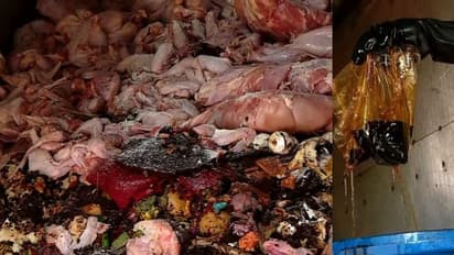 കൊച്ചിയിലെ ഹോട്ടലുകളിൽ വിതരണം ചെയ്യാൻ എത്തിച്ച 500 കിലോ പഴകിയ ഇറച്ചി പിടികൂടി 