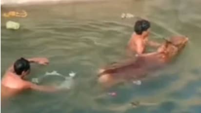 'नेकी कमानी पड़ती है'- इन 2 मजदूरों का साहसी कारनामा देख आप भी यही कहेंगे, पीठ पीछे लोग करते रहे तारीफ