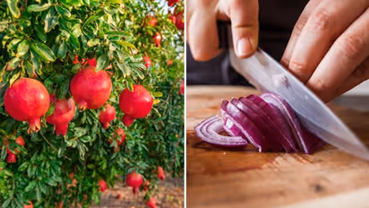 Three winter foods to improve your blood circulation