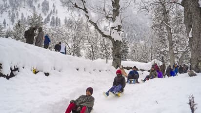 కాశ్మీర్ లోయలో సరికొత్త ఉపాధి మార్గాలు..  టాప్ 20 బిజినెస్‌ ఐడియాలు..