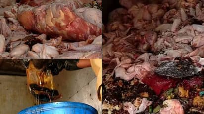 സുനാമി ഇറച്ചി പിടികൂടിയ സംഭവം; കളമശ്ശേരി നഗരസഭ ആരോഗ്യവിഭാഗത്തിന്റെ അടിയന്തരയോഗം ഇന്ന്