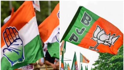 ബിജെപി 'കൈ' പിടിച്ചു, എൽഡിഎഫിന് പഞ്ചായത്ത് ഭരണം നഷ്ടമായി, യുഡിഎഫിന്റെ ഷീബ ചെല്ലപ്പൻ പ്രസിഡന്റ്