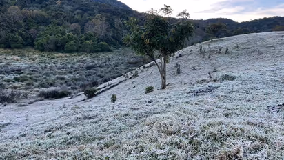 മൂന്നാം ദിവസവും മൂന്നാറില്‍ മഞ്ഞ് വീഴ്ച; സഞ്ചാരികളുടെ ഒഴുക്ക് 