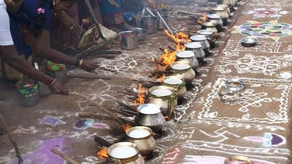 Bhogi Pongal 2023: 4 दिनों तक मनाते हैं पोंगल, पहले दिन को कहते हैं भोगी, जानें क्या-क्या होता है इस दिन? 