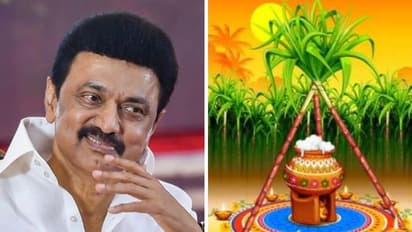Pongal 2023: “செங்கரும்பைப் போல மக்கள் வாழ்வு தித்திக்கட்டும்”.. முதலமைச்சர் மு.க.ஸ்டாலின் பொங்கல் வாழ்த்து!