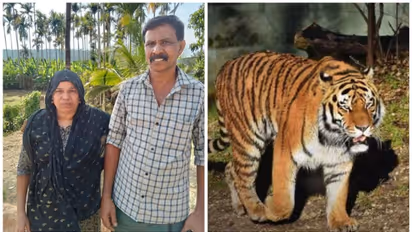 'ഗര്‍ജിച്ച് ദേഹത്തേക്ക് ചാടി,തലനാരിഴക്കാണ് രക്ഷപ്പെട്ടത്';കടുവയില്‍ നിന്ന് രക്ഷപ്പെട്ട മൊയ്തു പറയുന്നു