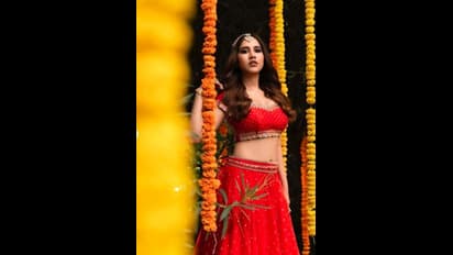 శ్రీకృష్ణుడి కోసం ఎదురుచూస్తున్న గోపికలా హొయలు.. నడుమందంతో హృదయాలు నలిపేస్తున్న నభా నటేష్  