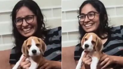 ക്ലാസിക്കൽ ഗാനം ആസ്വദിക്കുന്ന വളര്‍ത്തുനായ; വൈറലായി വീഡിയോ 