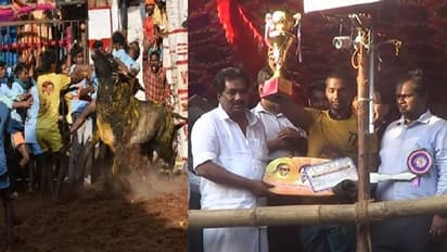 அவனியாபுரம் ஜல்லிகட்டு நிறைவு... 28 காளைகளை அடக்கிய விஜய் என்பவருக்கு முதல் பரிசு!!