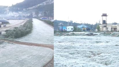 'ഇത്തവണത്തെ തണുപ്പ് കടുപ്പം' ഊട്ടിയിൽ തണുപ്പിന് നേരിയ ശമനം, കൊടും തണുപ്പിൽ സഞ്ചാരികളുടെ വരവും കുറവ്