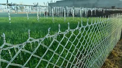 राजस्थान में हाड़ कंपा देने वाली ठंड: 28 साल बाद ऐसी जबरदस्त सर्दी की जर्रा-जर्रा जम गया, कश्मीर जैसे हालात