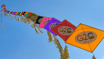 'Should be a beacon for others to learn': WHO officials lauds India's G20 Presidency