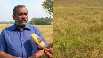 നിലം ഒരുക്കാതെ വിത്ത് വിതച്ചെന്ന് പരാതി, ആമല്ലൂർ പാടശേഖരത്തിൽ കൃഷി മന്ത്രിയുടെ പരിശോധന