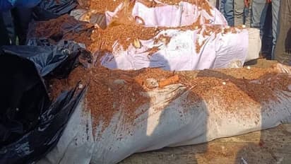 कासगंज में एक ही चिता पर रखे गए 3 भाई-बहनों के शव, एक हादसे ने परिवार की खुशियों पर लगाया ग्रहण