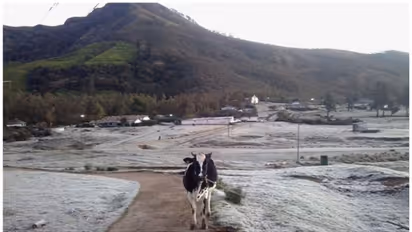 മൂന്നാറിൽ മഞ്ഞ് കാണാനെത്തിയവരിൽ നിന്ന് വനപാലകർ പണം പിരിച്ചെന്ന് ആരോപണം; വിവാദമായതോടെ പുതിയ നിർദ്ദേശം