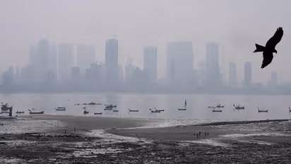 Mumbai to record coldest weather as temperature likely to drop to 13 degree celsius today