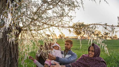 Weather Report: हरियाणा, यूपी और राजस्थान में पाले का अलर्ट, अभी नहीं मिलेगी सर्दी से राहत