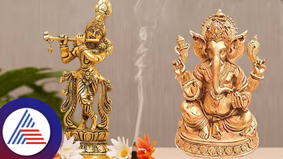 Idol Vastu : ದೇವರ ಮನೆಯಲ್ಲಿ ಈ ಮೂರ್ತಿ ಇಟ್ರೆ ನಷ್ಟ ನಿಮಗೆ