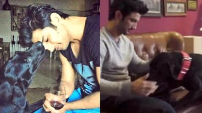 ಸುಶಾಂತ್ ಸಿಂಗ್ ಪ್ರೀತಿಯ ನಾಯಿ ನಿಧನ; 'ಗೆಳಯನ ಜೊತೆ ಸ್ವರ್ಗ ಸೇರಿದೆ' ಎಂದು ಸಹೋದರಿಯ ಭಾವುಕ ಪೋಸ್ಟ್ 