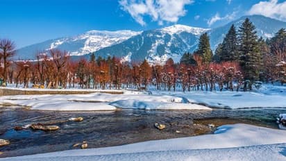 കശ്മീരിൽ ഈ വ്യവസായങ്ങൾ പച്ചപിടിക്കും; മികച്ച 10 ബിസിനസ്സ് ആശയങ്ങൾ