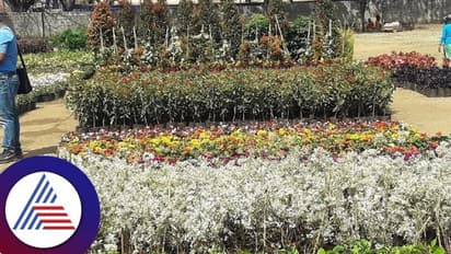 Chikkamagaluru Utsava: ಹಬ್ಬದ ಅಂಗವಾಗಿ ದೇಶ ವಿದೇಶಗಳ ವಿವಿಧ ಬಗೆಯ ಹೂವಿನ ಲೋಕವೇ ಸೃಷ್ಟಿ!