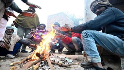 ರಾಜ್ಯಾದ್ಯಂತ ಚಳಿ ಚಳಿ: ಉತ್ತರ ಭಾರತ ಗಡಗಡ, 15 ಡಿಗ್ರಿಗಿಂತ ಕೆಳಕ್ಕೆ ಕುಸಿದ ತಾಪ